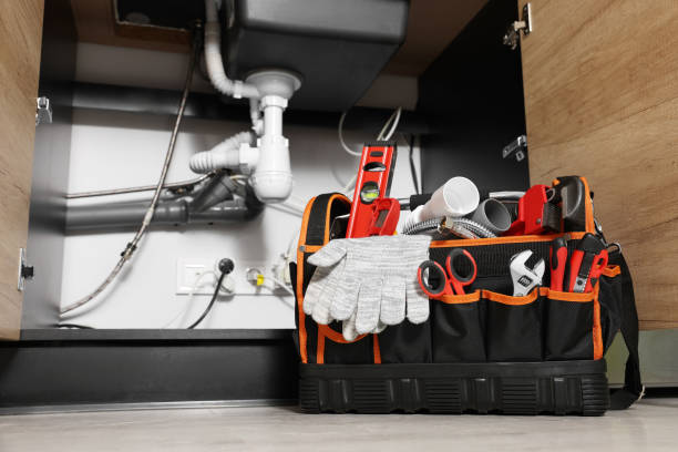 Best Local Plumber Services  in Lake Royale, NC